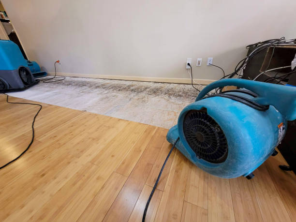 Professional Basement Flood Cleanup technician working in Loretto, PA